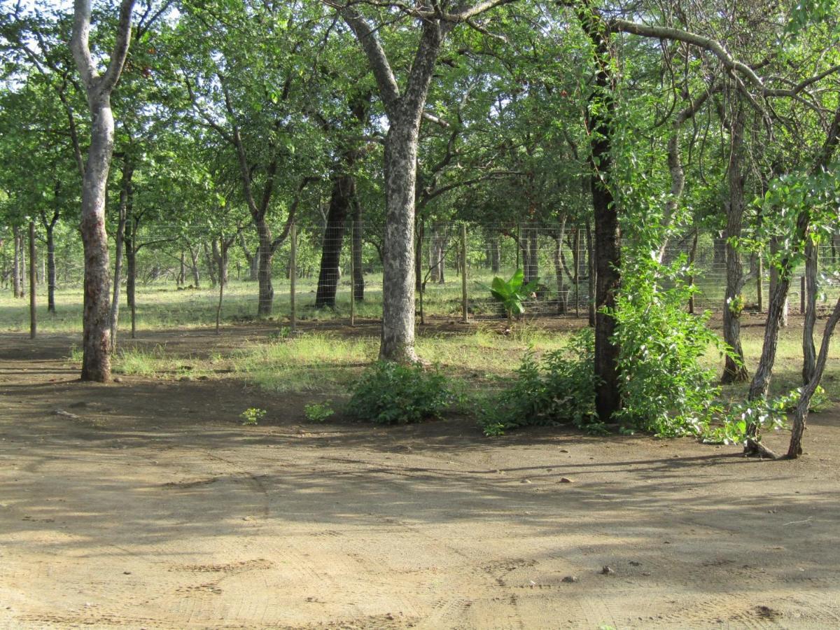 Pafuri Gate * Mabiligwe